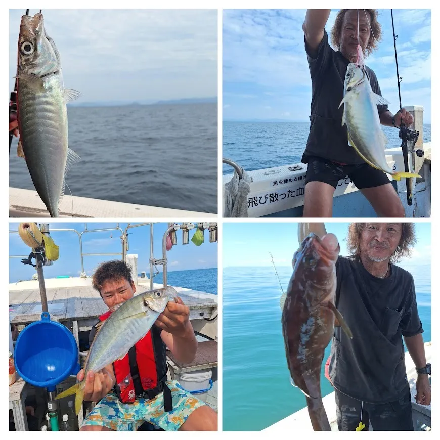 8/24 バチコン、落とし込み、SLJ、鯛ラバ。|瀬戸内・山口・周南【遊漁船直穂丸】