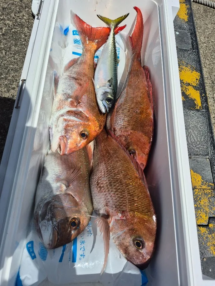 4/21 鯛ラバ。|瀬戸内・山口・周南【遊漁船直穂丸】
