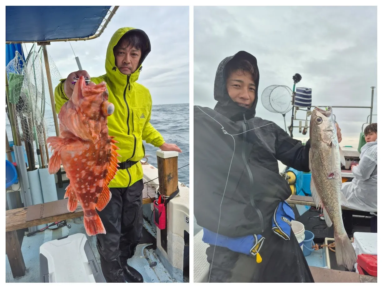 4/26 ｸﾛｸﾞﾁ＆ｳｯｶﾘ。|瀬戸内・山口・周南【遊漁船直穂丸】