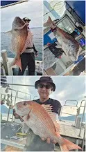 7/19 鯛ラバ。|瀬戸内・山口・周南【遊漁船直穂丸】